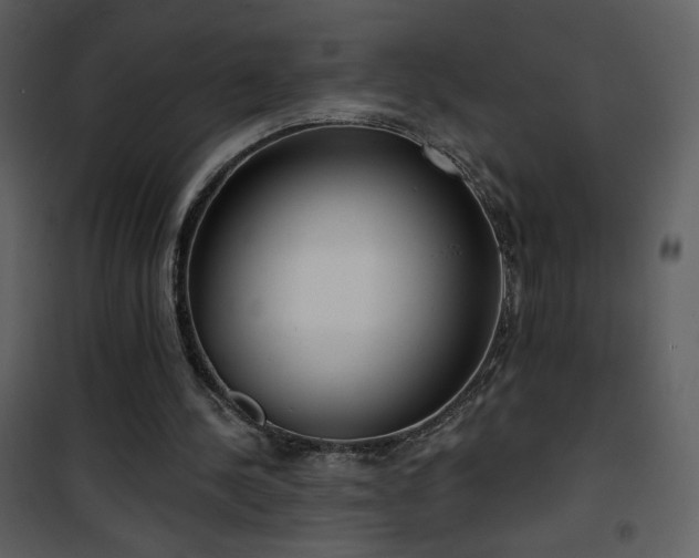 X0000102000244200807181211