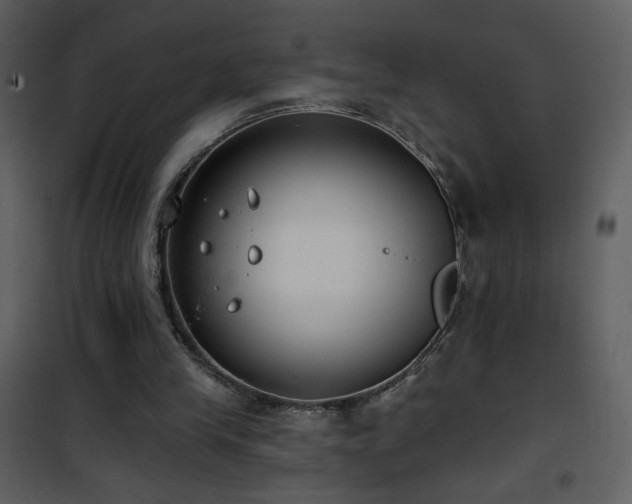 X0000102000245200807181211