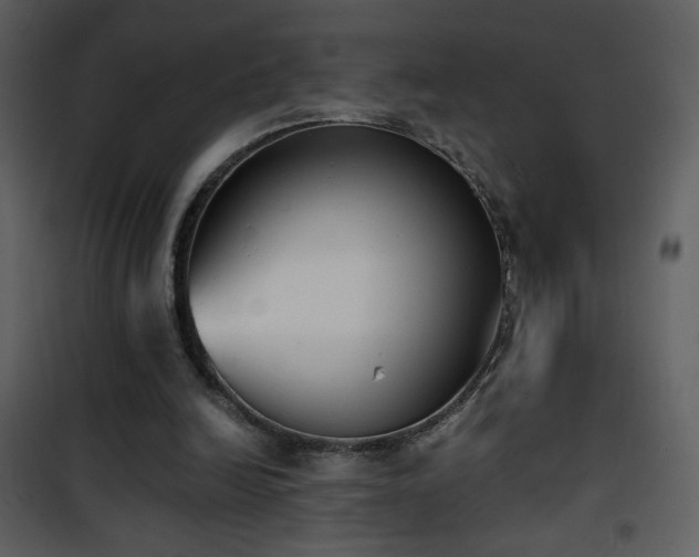 X0000102000246200807181211