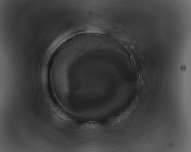 X0000102000247200807181211