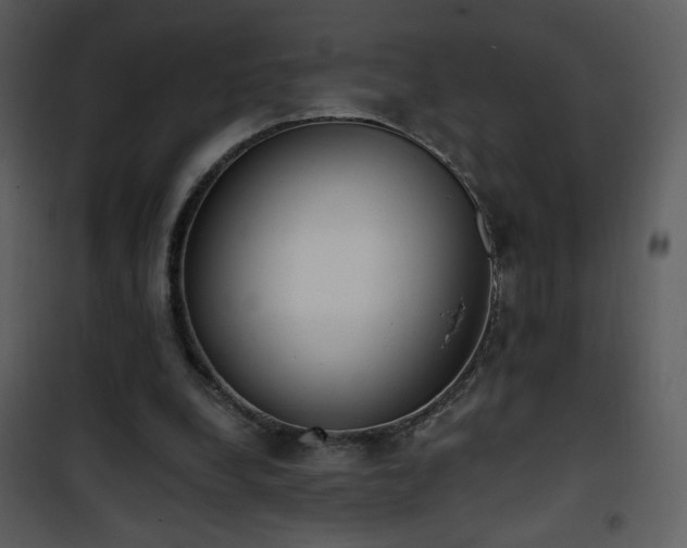 X0000102000248200807181211