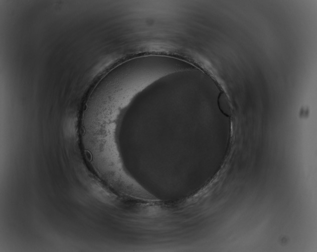 X0000102000249200807181211