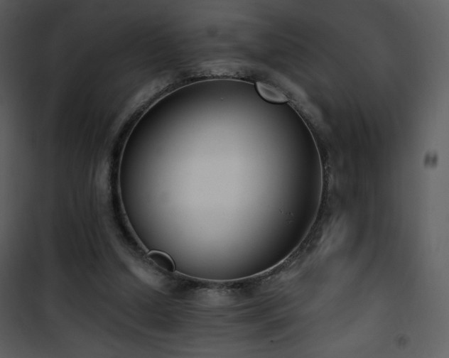 X0000102000250200807181211