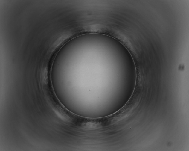 X0000102000251200807181211