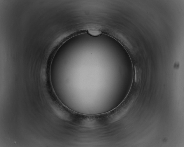 X0000102000252200807181211