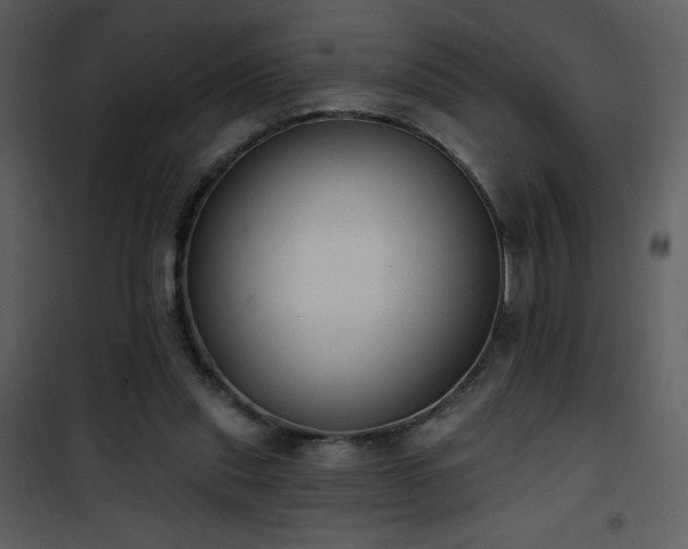 X0000102000253200807181211