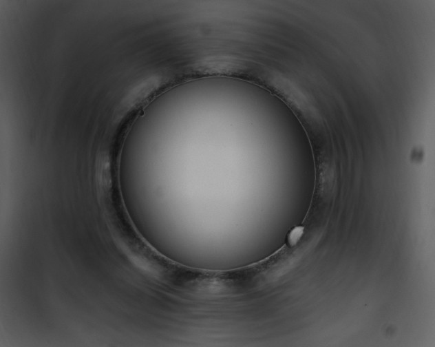 X0000102000254200807181211