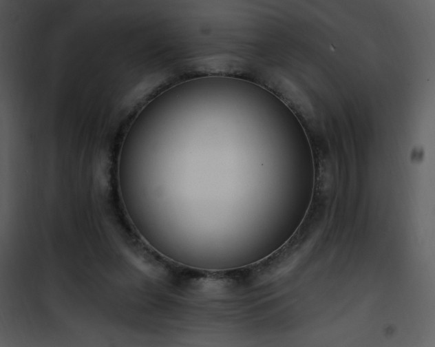 X0000102000255200807181211