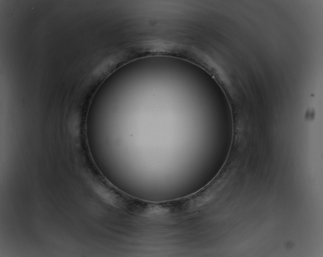 X0000102000257200807181211