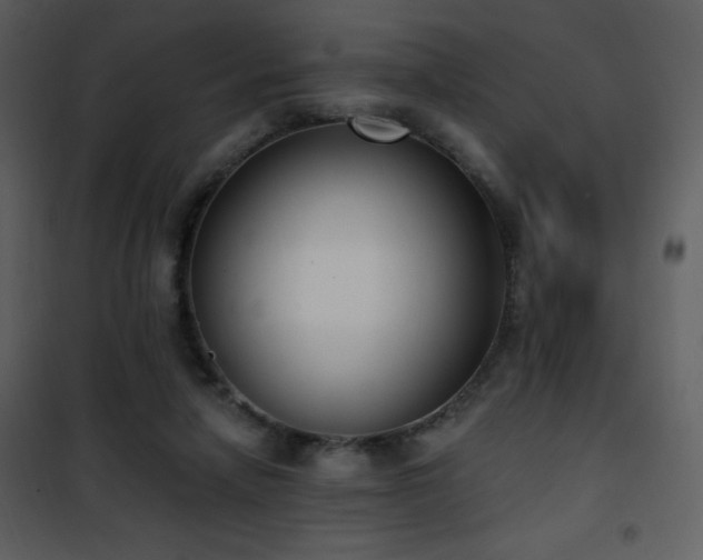 X0000102000258200807181211