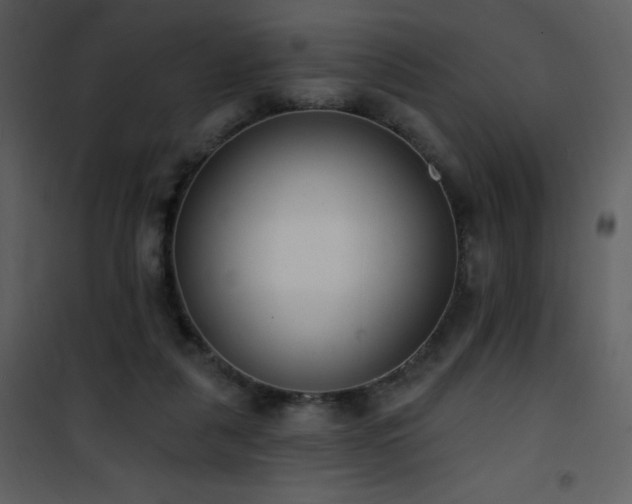 X0000102000259200807181211