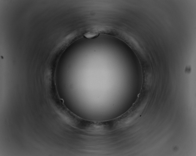 X0000102000260200807181211