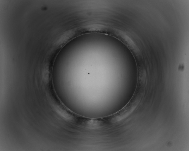 X0000102000261200807181211