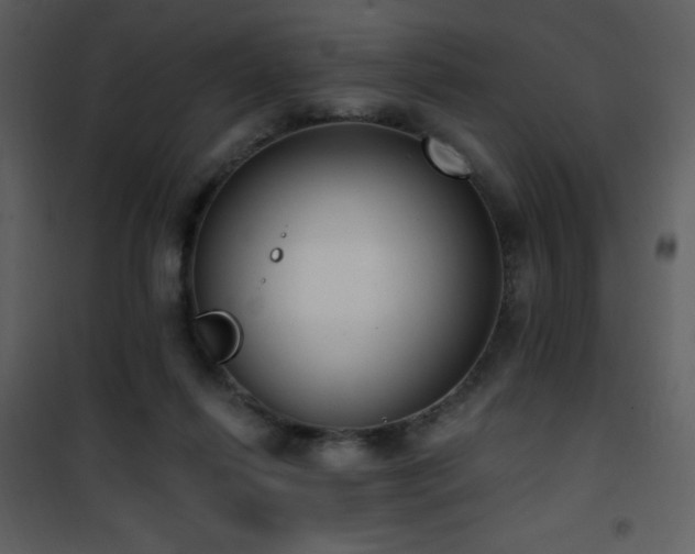 X0000102000262200807181211