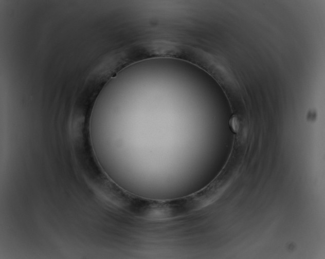 X0000102000263200807181211