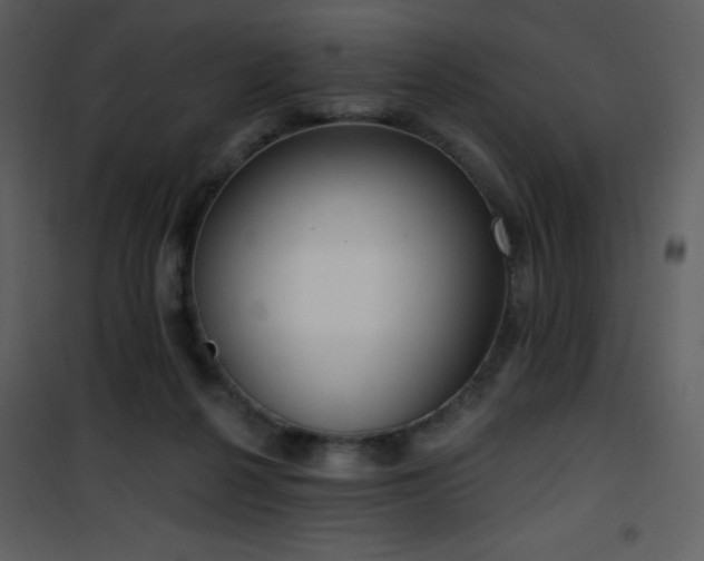 X0000102000264200807181211