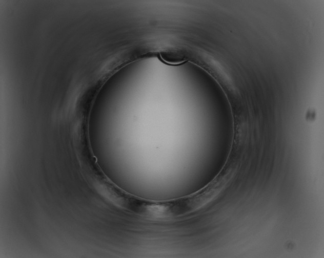 X0000102000265200807181211