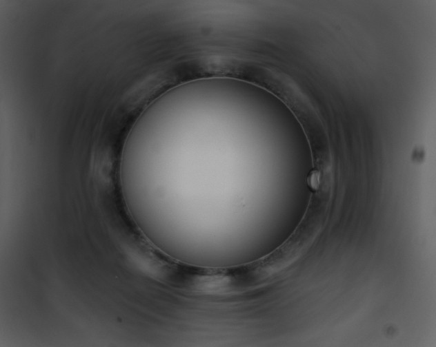 X0000102000266200807181211