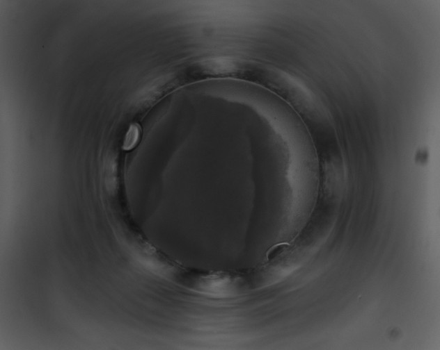 X0000102000267200807181211