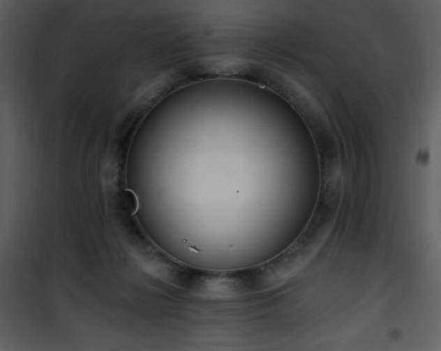 X0000102000268200807181211