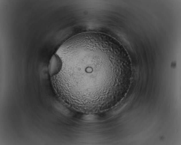 X0000102000269200807181211