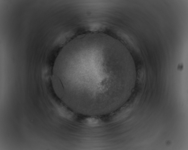 X0000102000272200807181212