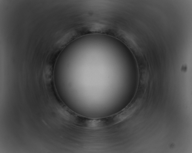 X0000102000273200807181212