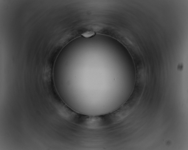 X0000102000274200807181212