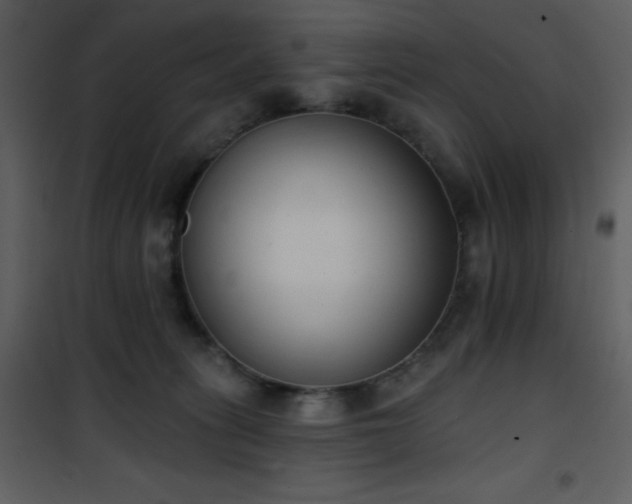 X0000102000275200807181212