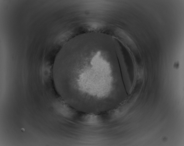 X0000102000276200807181212