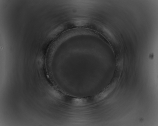 X0000102000277200807181212