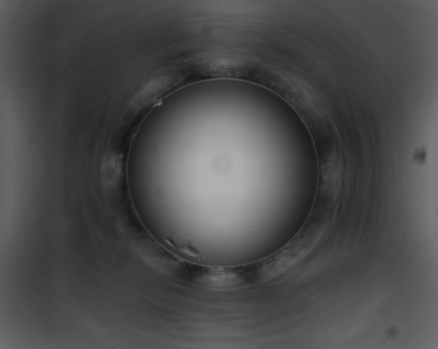 X0000102000278200807181212