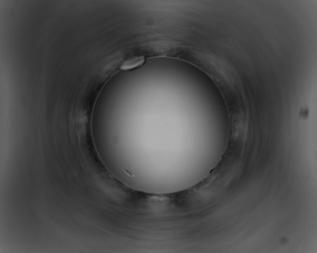 X0000102000279200807181212