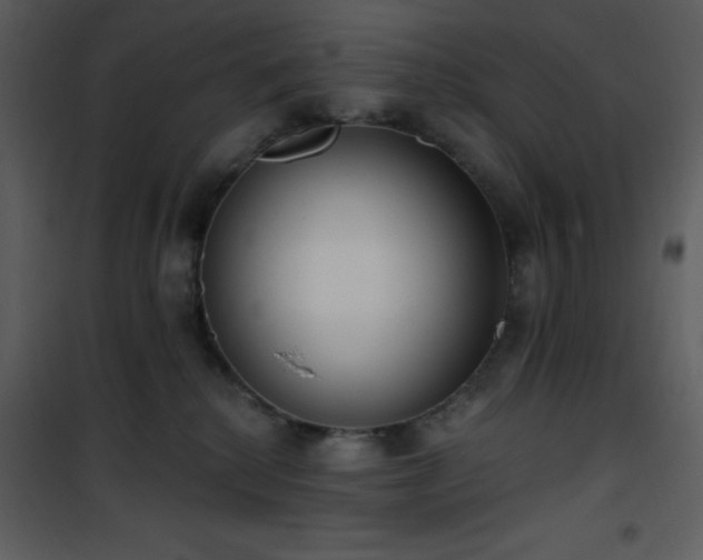 X0000102000280200807181212