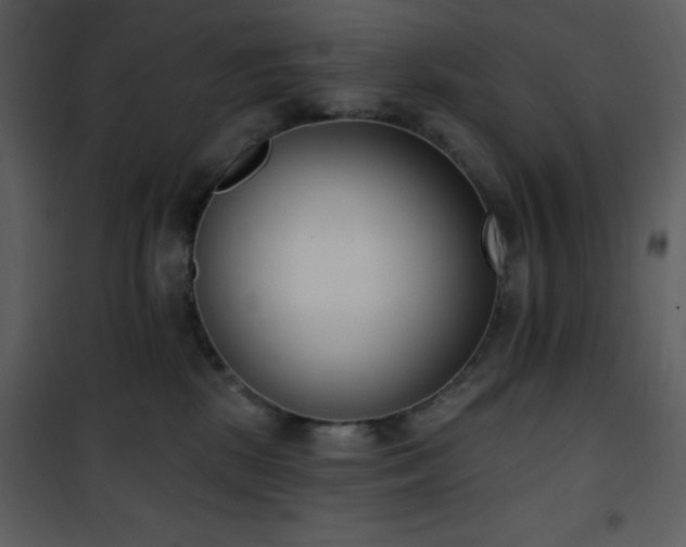 X0000102000281200807181212