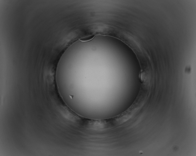 X0000102000282200807181212