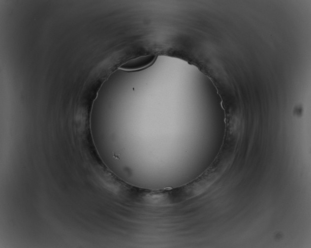 X0000102000283200807181212