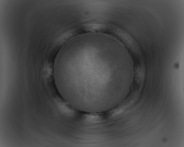 X0000102000284200807181212