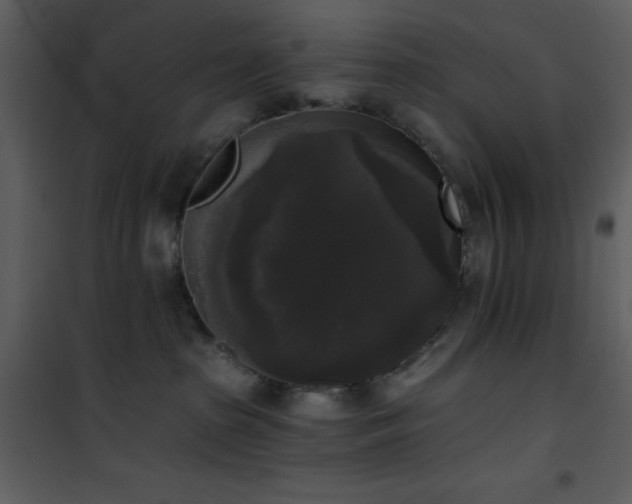 X0000102000285200807181212