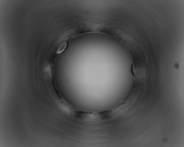 X0000102000286200807181212