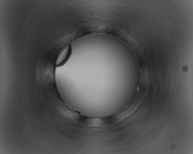 X0000102000287200807181212