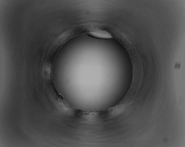 X0000102000288200807181212