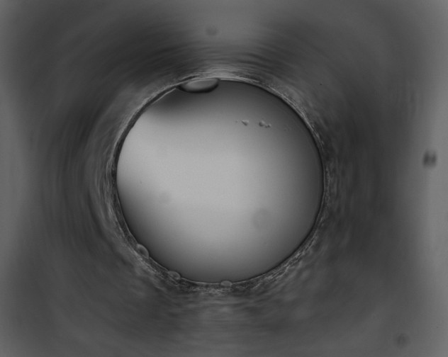 X0000102000289200807181211