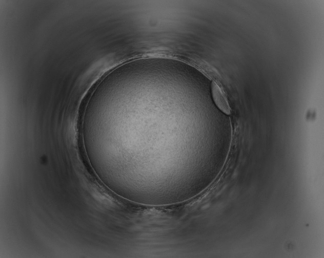 X0000102000290200807181211