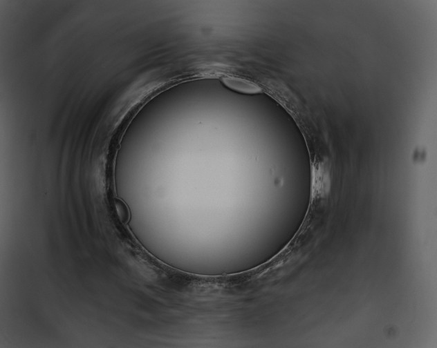 X0000102000291200807181211