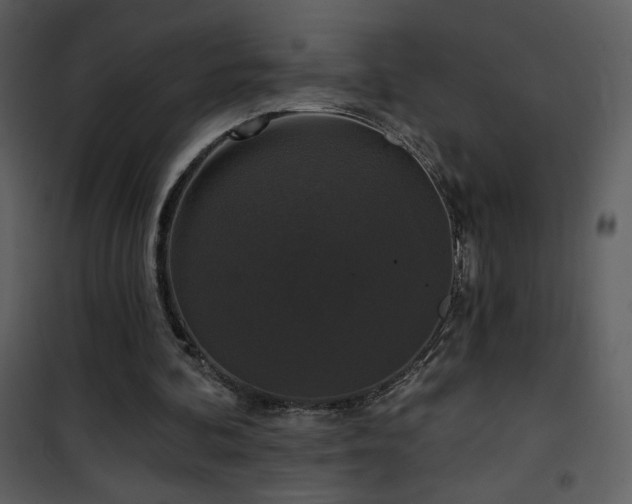 X0000102000292200807181211