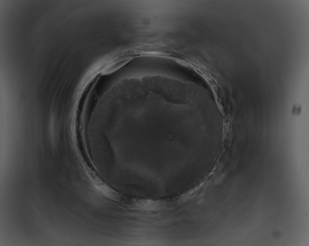 X0000102000293200807181211