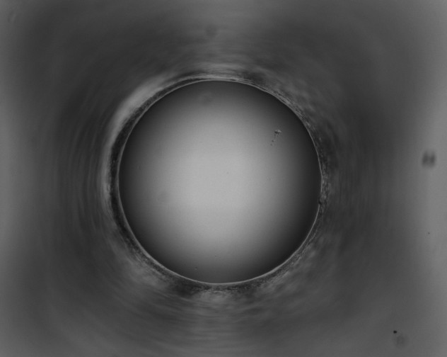 X0000102000294200807181211