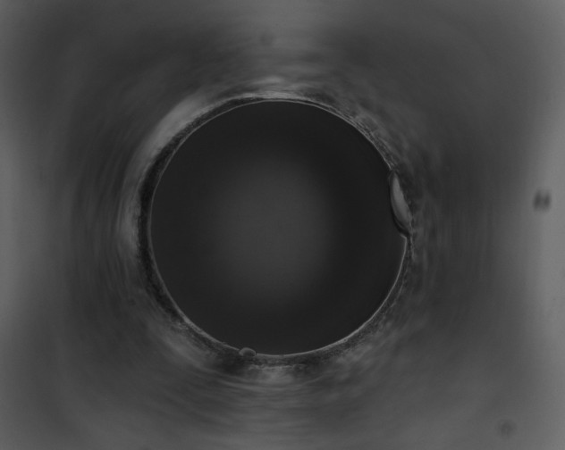 X0000102000295200807181211