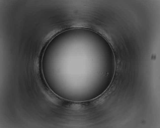 X0000102000298200807181211